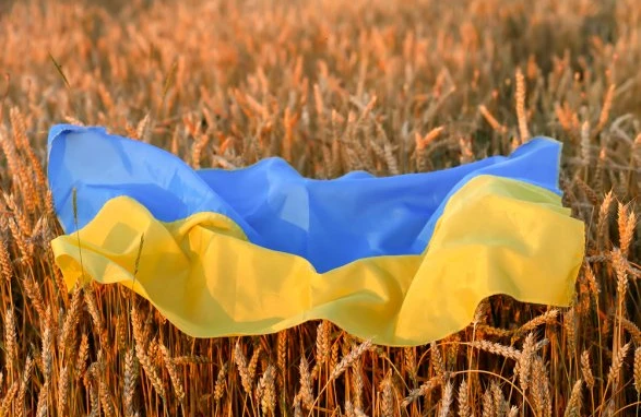 Ukrayna Polşa, Macarıstan və Slovakiyanın hərəkətlərinə etiraz edəcək