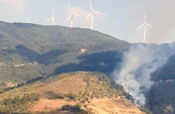 Türkiyədə meşə yanğınları başlayıb