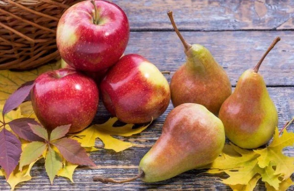 Xərçəngin düşməni olan meyvələr