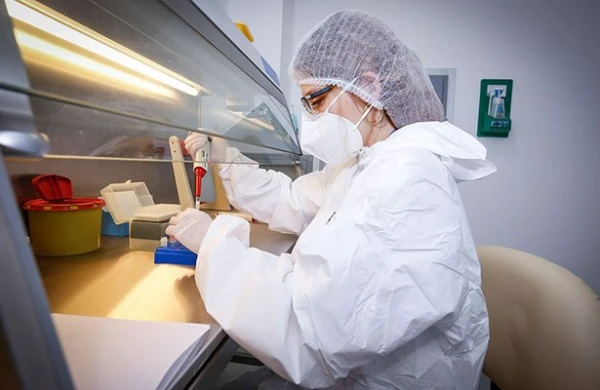 Yeni epidemiya qapıda