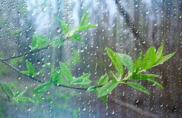 Sabahdan temperatur 5-10° enəcək – Xəbərdarlıq