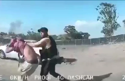 ŞOK GÖRÜNTÜ! Xəmas israillini görün necə öldürdü (18+)