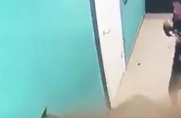 ŞOK GÖRÜNTÜ! Dərs zamanı divardan görün nə çıxdı (VİDEO)
