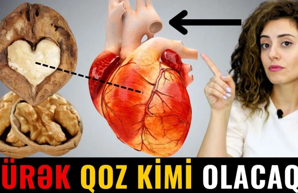 ÜRƏK QOZ Kimi Olacaq - Bu 12 qidanı MÜTLƏQ YEYİN