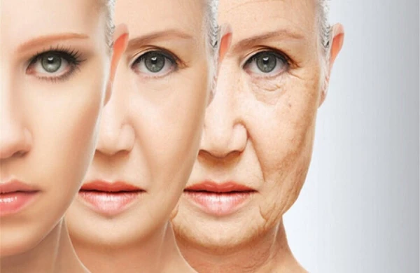 Dərinin qocalmasını ləngidən QİDALAR