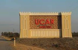 Ucarda qadın evinin həyətində ölü tapıldı