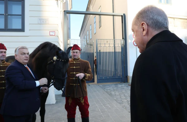 Ərdoğana at hədiyyə etdi
