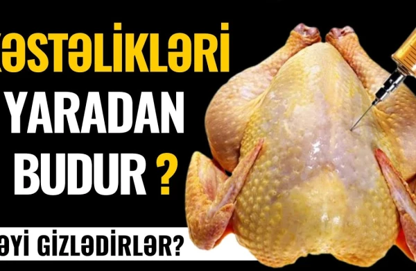 Bu videoya baxmadan TOYUQ ƏTİ YEMƏYİN! 