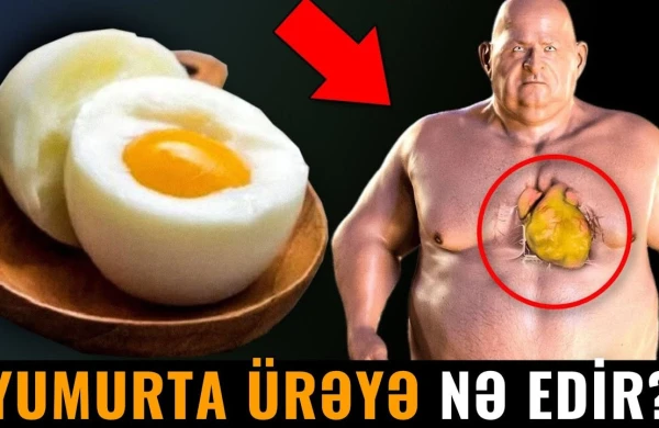Yumurta ürəyə nə edir? (VİDEO)