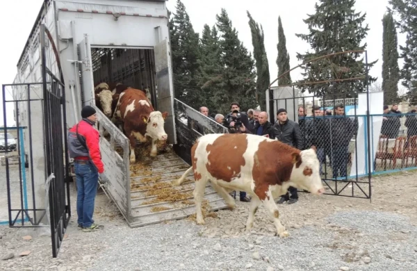 SON DƏQİQƏ! Rəsmən açıqlandı: Bu bazarlarda qadağalar tətbiq olunacaq