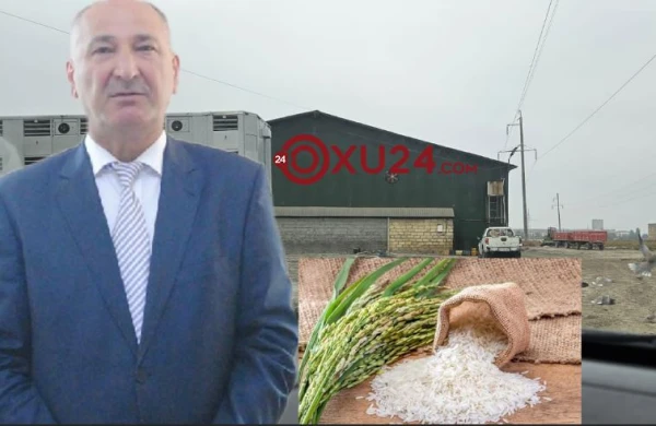 İcra başçısının balıqları tələf oldu,düyü biznesinə keçdi    —   ŞOK FAKTLAR  