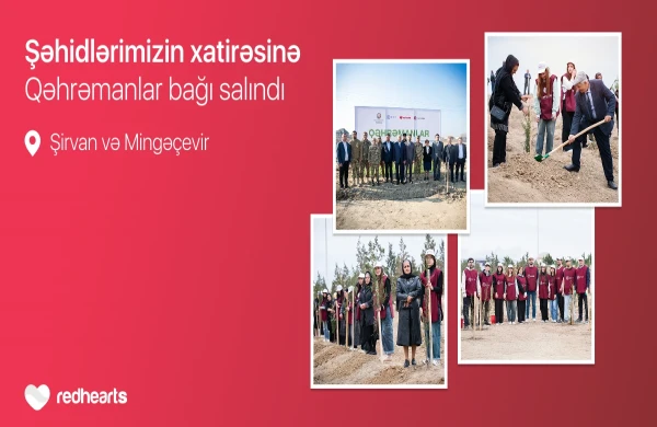 “Qəhrəmanlar bağı” layihəsi: Şəhidlərin xatirəsinə 543 ağac əkilib&nbsp;