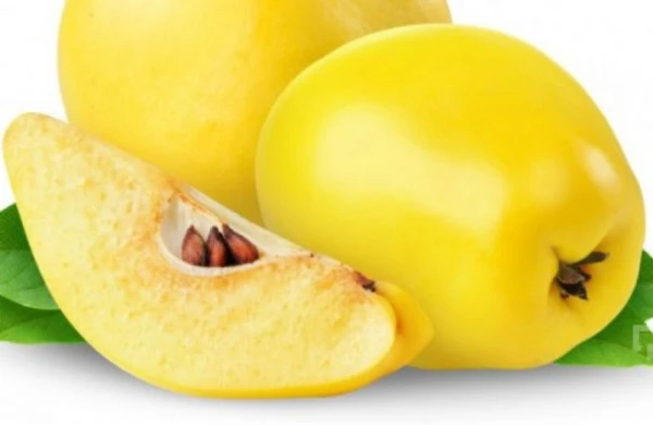 Heyvanın bu FAYDALARI VAR İMİŞ