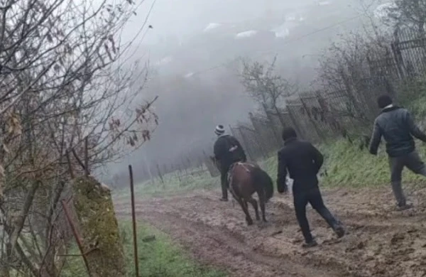 Bu kənddə uşaqlar dərsə atla gedirlər — Sinifləri bağlanıb,yolları da yoxdur   (VİDEO)