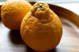 Bu meyvədən cəmi 5 ölkədə yetişir - Biri də Azərbaycandır&nbsp;