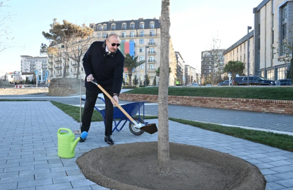 Parkdakı ilk palıdı Prezident əkdi - Fotolar+Video