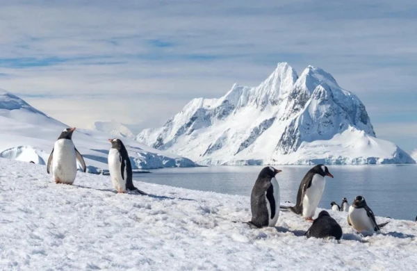 Antarktidada itən robot 9 ay sonra qorxulu məlumatlarla geri döndü&nbsp;