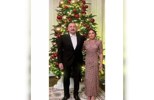 Birinci vitse-prezident Mehriban Əliyeva Yeni il münasibətilə paylaşım edib - FOTO&nbsp;