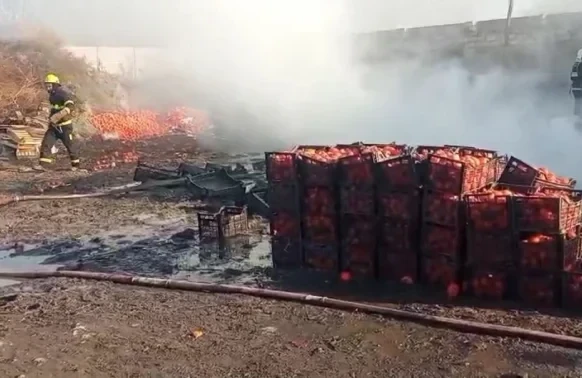 Zaqatalada xurma istehsalı sexində YANĞIN 