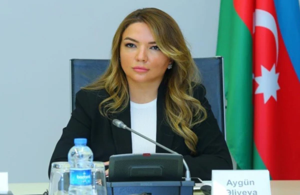 Aygün Əliyevaya yeni vəzifə verildi&nbsp;