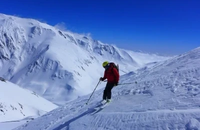 Turist axınının qarşısını almaq üçün ağacları kəsdilər, daha çox gəldi