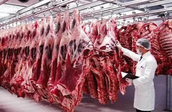 Azərbaycanda bu ölkələrdən gətirilən ətlər satılır - SİYAHI