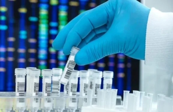 Qərar verildi – Bu xidmət PULSUZ OLACAQ