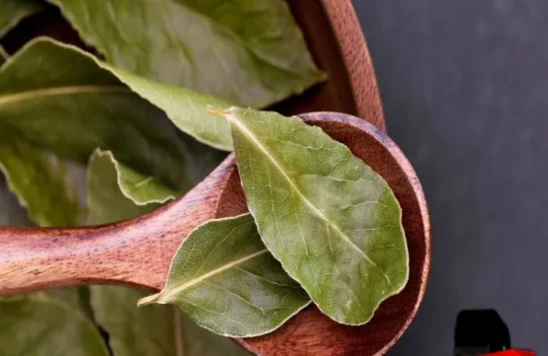 Yanvar ayının bu tarixlərində dəfnə yarpağı yandırın: Görün HƏYATINIZ NECƏ DƏYİŞƏCƏK&nbsp;