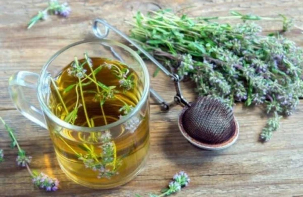 Kəklikotunun faydaları&nbsp;