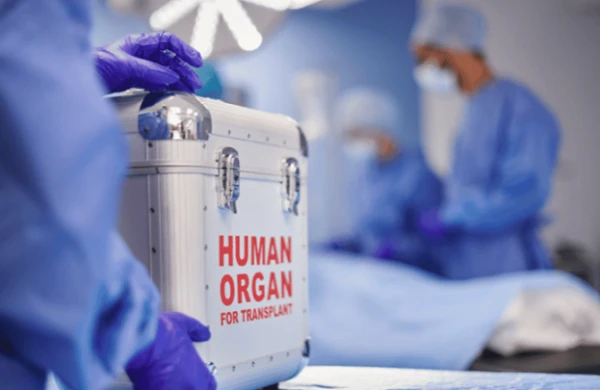 Tanınmış təhsil ekspertindən ŞOK ADDIM: orqanlarını...