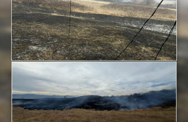 Xocalıda yanğına səbəb olan şəxs saxlanıldı