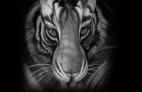 Şəkilə baxın, əslində kim olduğunuzu öyrənin – Şəxsiyyət TESTİ 