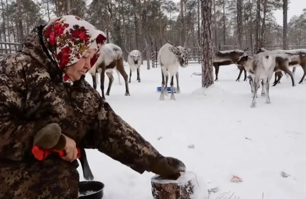 -60 dərəcə havada yaşayan xalqların həyatından REPORTAJ