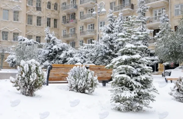 XƏBƏRDARLIQ: Türkiyədən güclü qar fırtınası Azərbaycana doğru gəlir&nbsp;