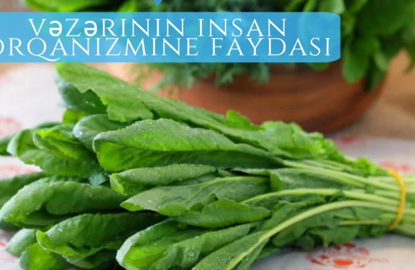 Vəzəri kimlərə xeyir,kimlərə ziyandır?&nbsp; &nbsp;—&nbsp; &nbsp;AÇIQLAMASI