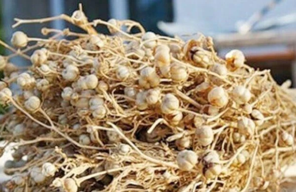 Üzərliklə bağlı əhaliyə XƏBƏRDARLIQ EDİLDİ