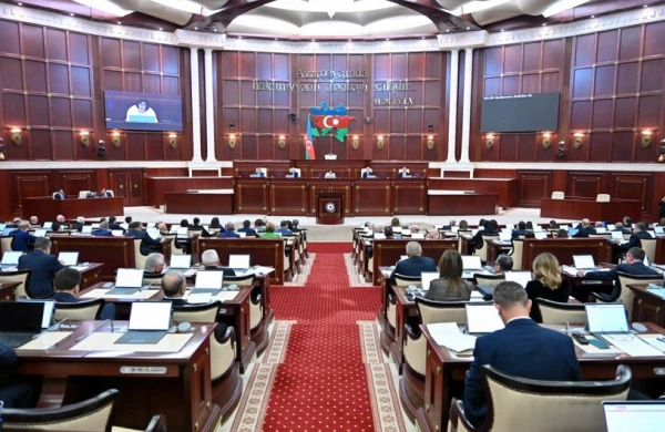 Milli Məclis yeni qərar qəbul etdi: Bunu edənləri 2500 manat cərimə GÖZLƏYİR