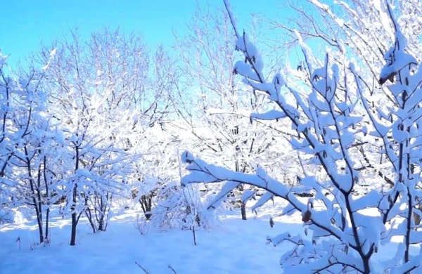 Azərbaycana qar YAĞACAQ -HAVA