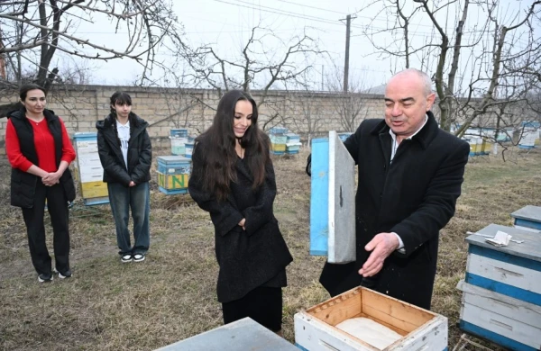 Leyla Əliyeva Qubada arıçı ailəsinin qonağı olub - FOTO&nbsp;