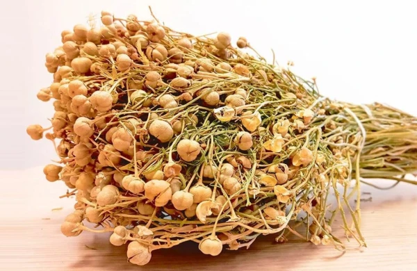 Üzərliyin tərkibində bu maddələr&nbsp; var imiş   —  Həkim faydalarını AÇIQLADI&nbsp;&nbsp;