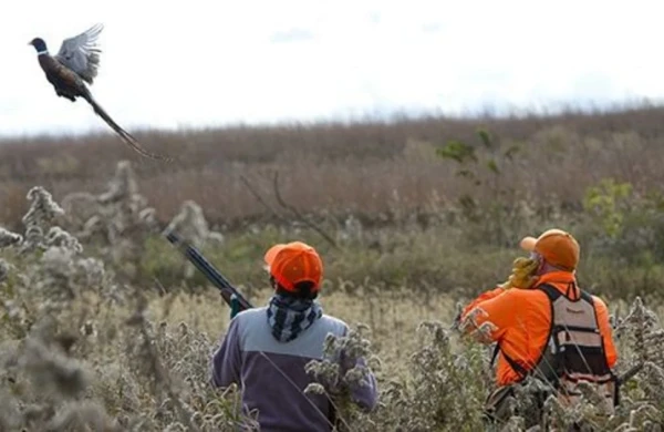 Qanunsuz ov edənlər 6000 manat cərimələndi&nbsp;