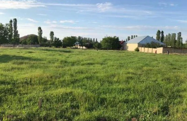 Özbaşına tutulmuş bələdiyyə torpaqlarının aqibəti necə olur?&nbsp;&nbsp;