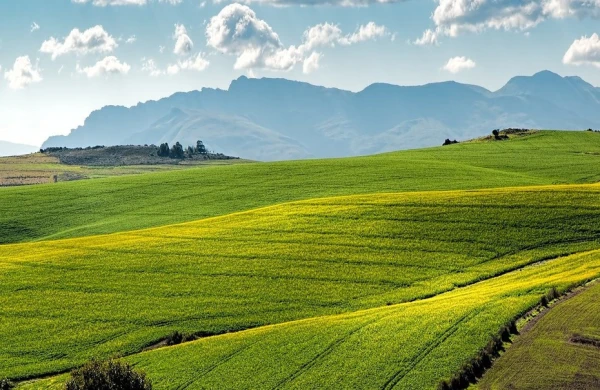 Torpağı istifadəsiz saxlayanların NƏZƏRİNƏ!  —   Əlinizdən ALINA BİLƏR