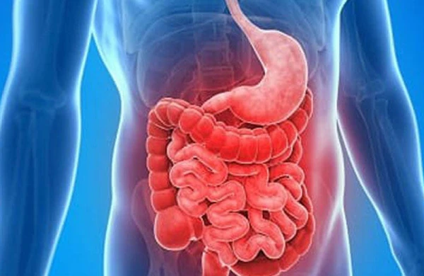 İnsan üçün mühüm hormon bağırsaqlarda yaranırmış&nbsp;
