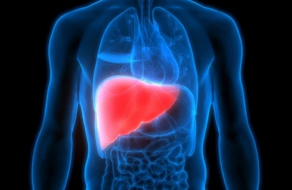 "Qaraciyərin bərkiməsi" nədir?