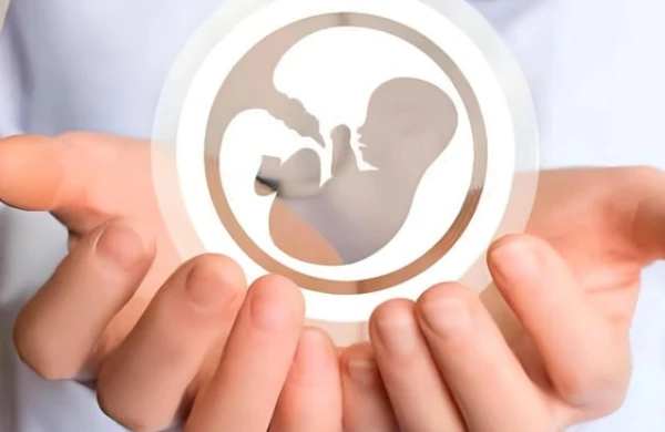 Qanunsuz süni mayalanma və sterilizasiya edənləri hansı cəza gözləyir? – Vəkil açıqladı&nbsp;