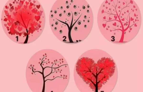 Siz xeyirxah insansınız - Hansı ağacı seçərdiniz? - Psixoloji TEST&nbsp;&nbsp;