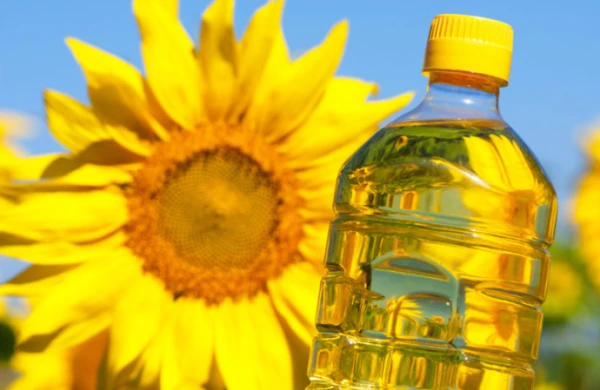 Bitki yağlarında xolesterin varmı?&nbsp;