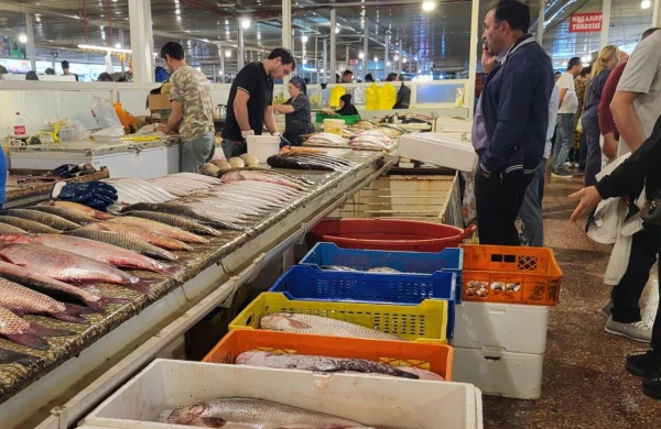 Hamının sevərək yediyi balıq ZƏRƏRLİ İMİŞ&nbsp;