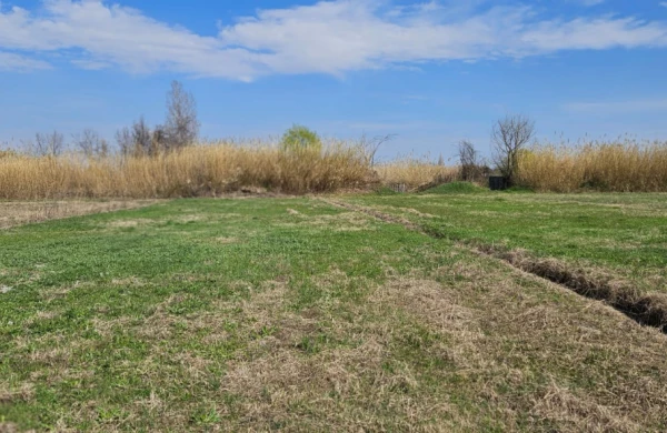 Torpaq sahəsinin koordinatları bu qaydada dəyişdirilə bilər&nbsp;&nbsp;